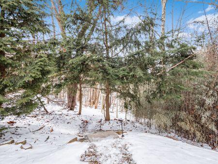 1353 N Howell Drive Property Photo 40
