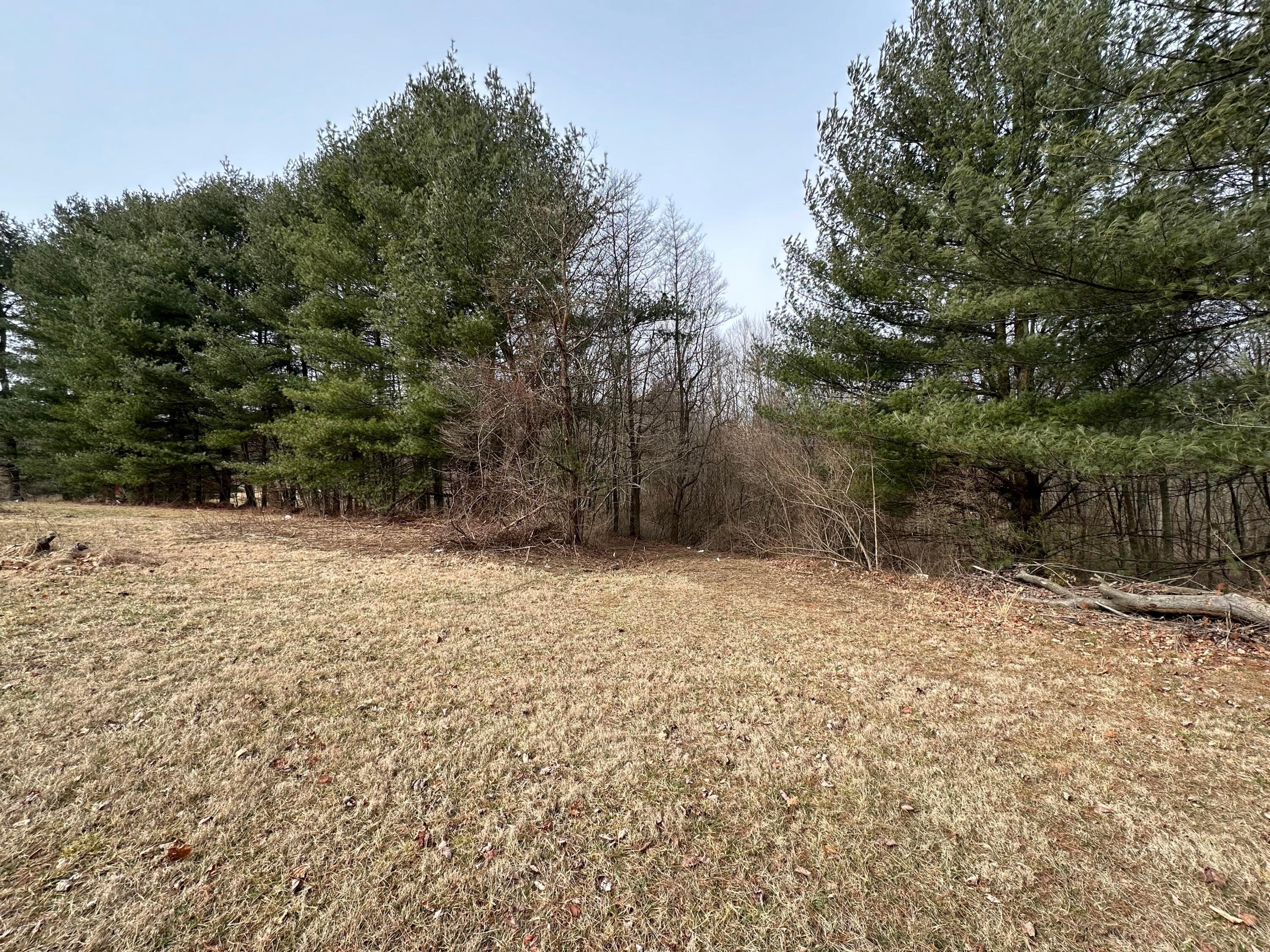 0 Van Winkle Road Property Photo 2