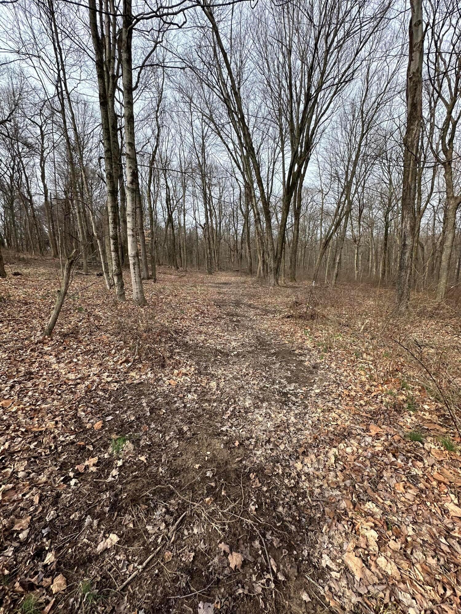 0 Van Winkle Road Property Photo 4