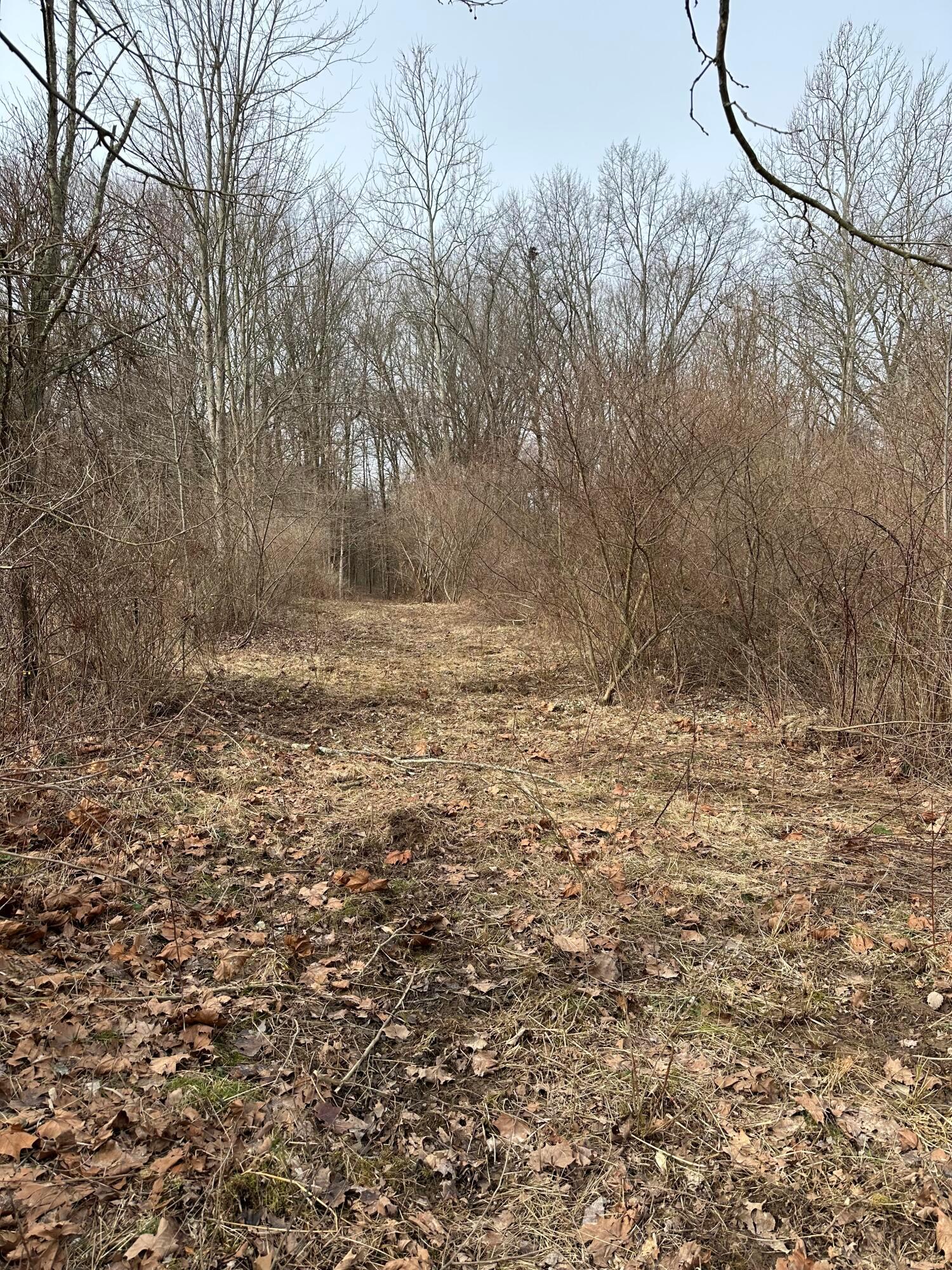 0 Van Winkle Road Property Photo 5