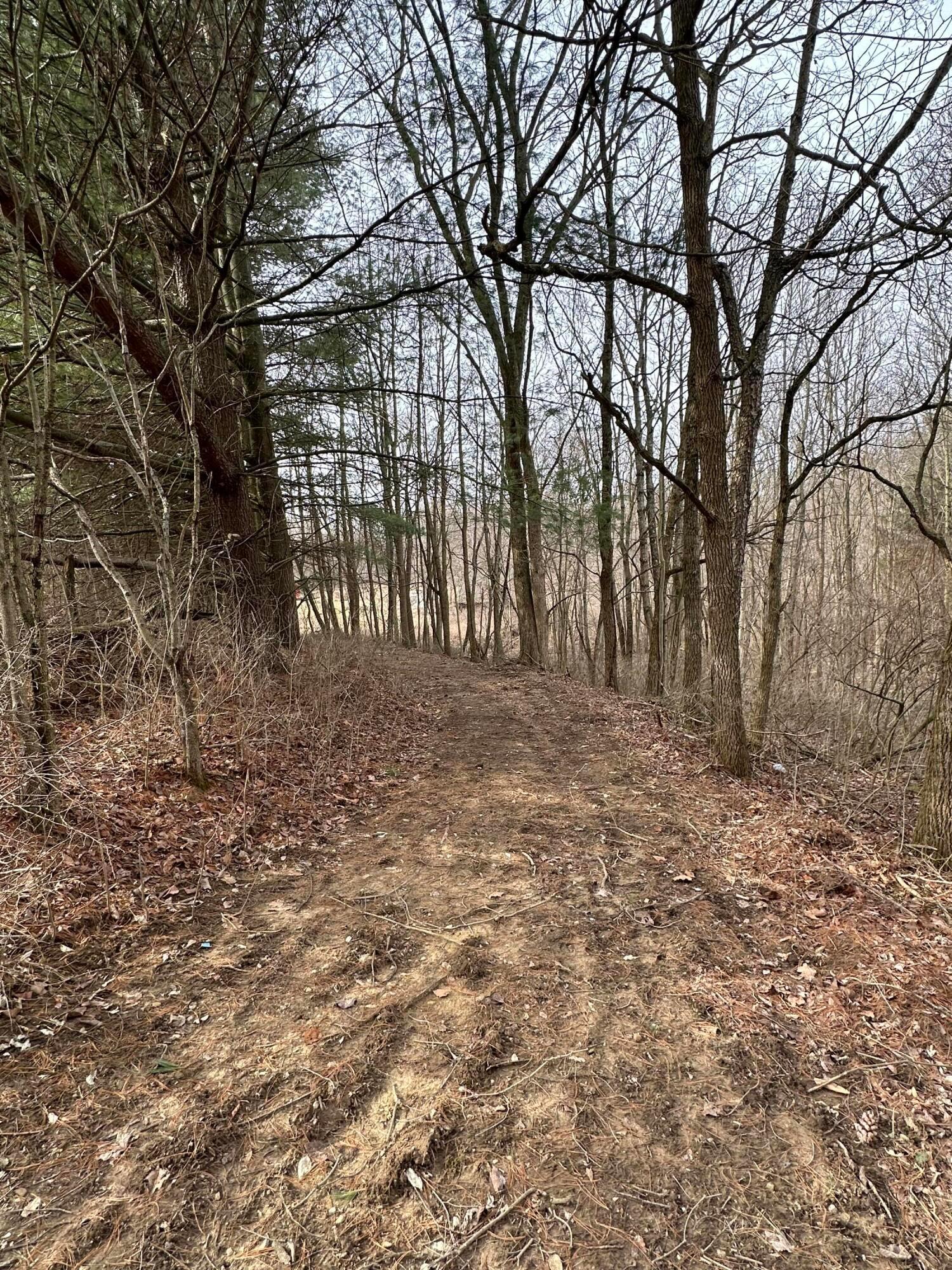 0 Van Winkle Road Property Photo 6