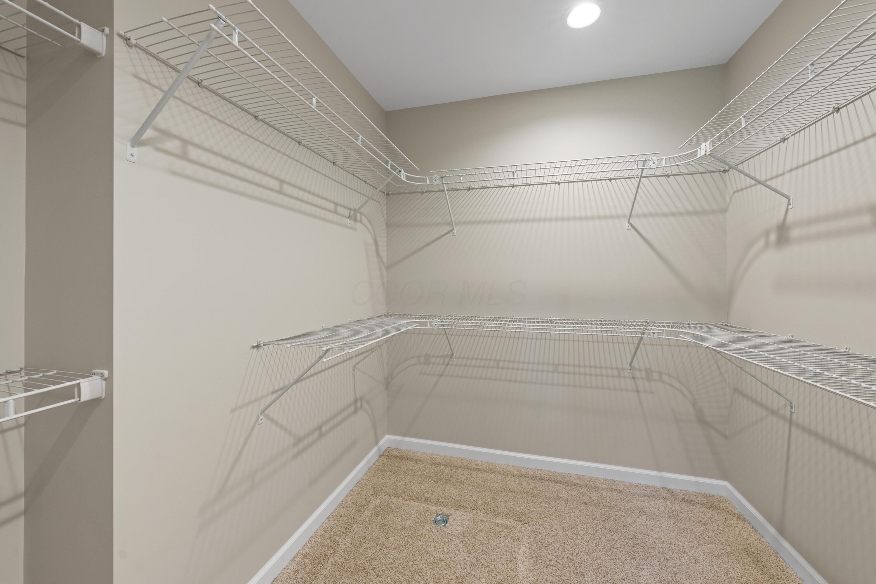 5350 Ebright Road Property Photo 22