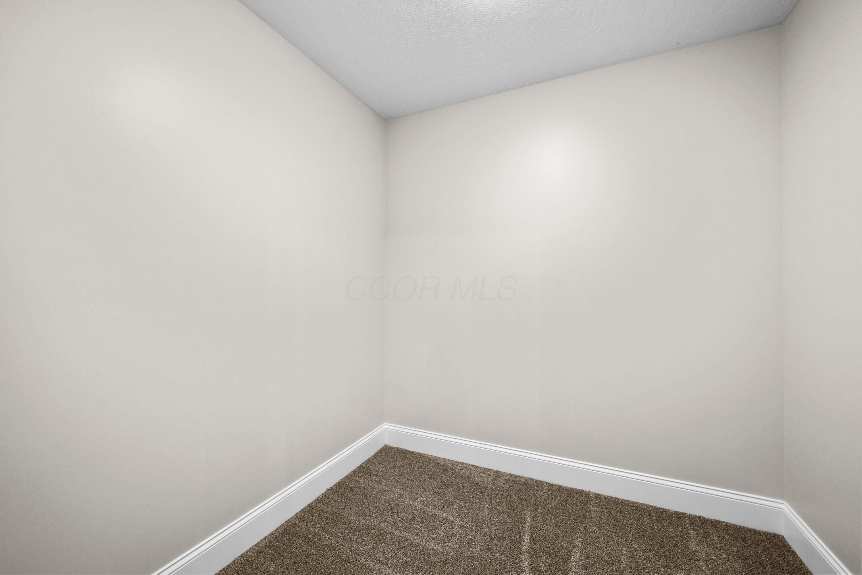 1725 Rippling Brook Drive Property Photo 26