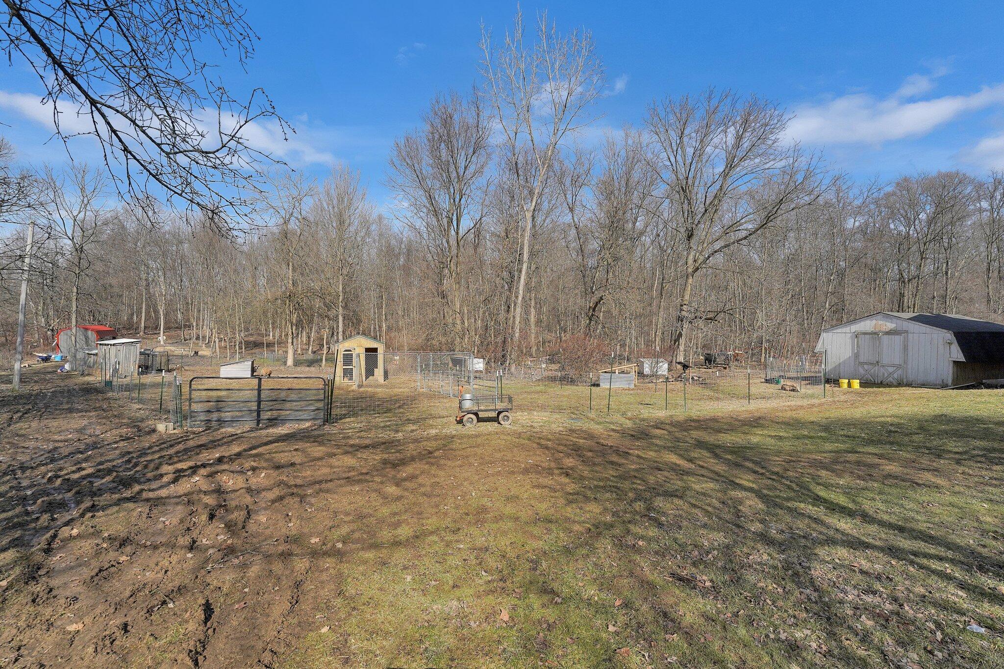 8730 Ransom Road Property Photo 34
