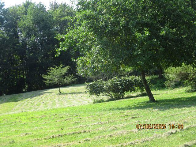 24366 Brown Road Property Photo 5
