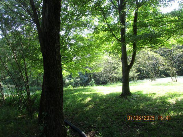 24366 Brown Road Property Photo 6