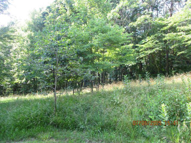 24366 Brown Road Property Photo 7