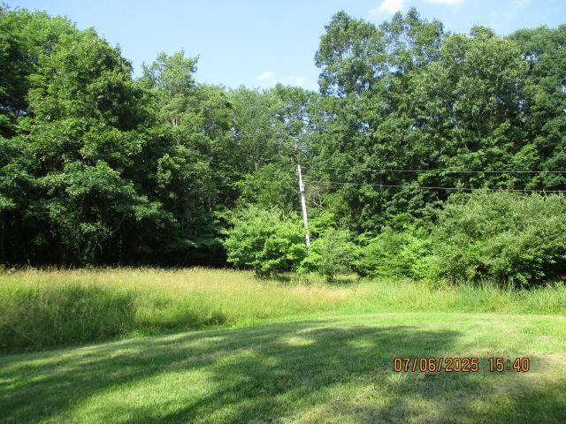 24366 Brown Road Property Photo 8