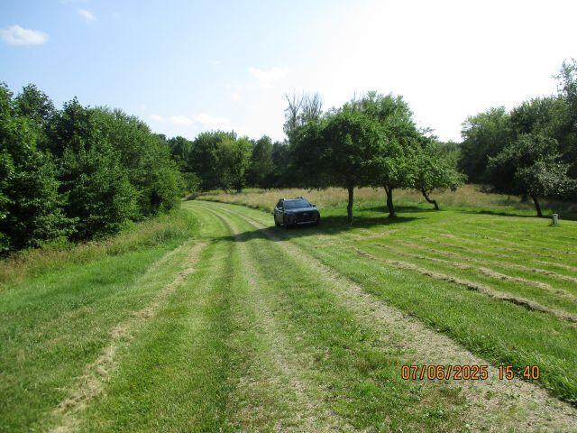 24366 Brown Road Property Photo 9