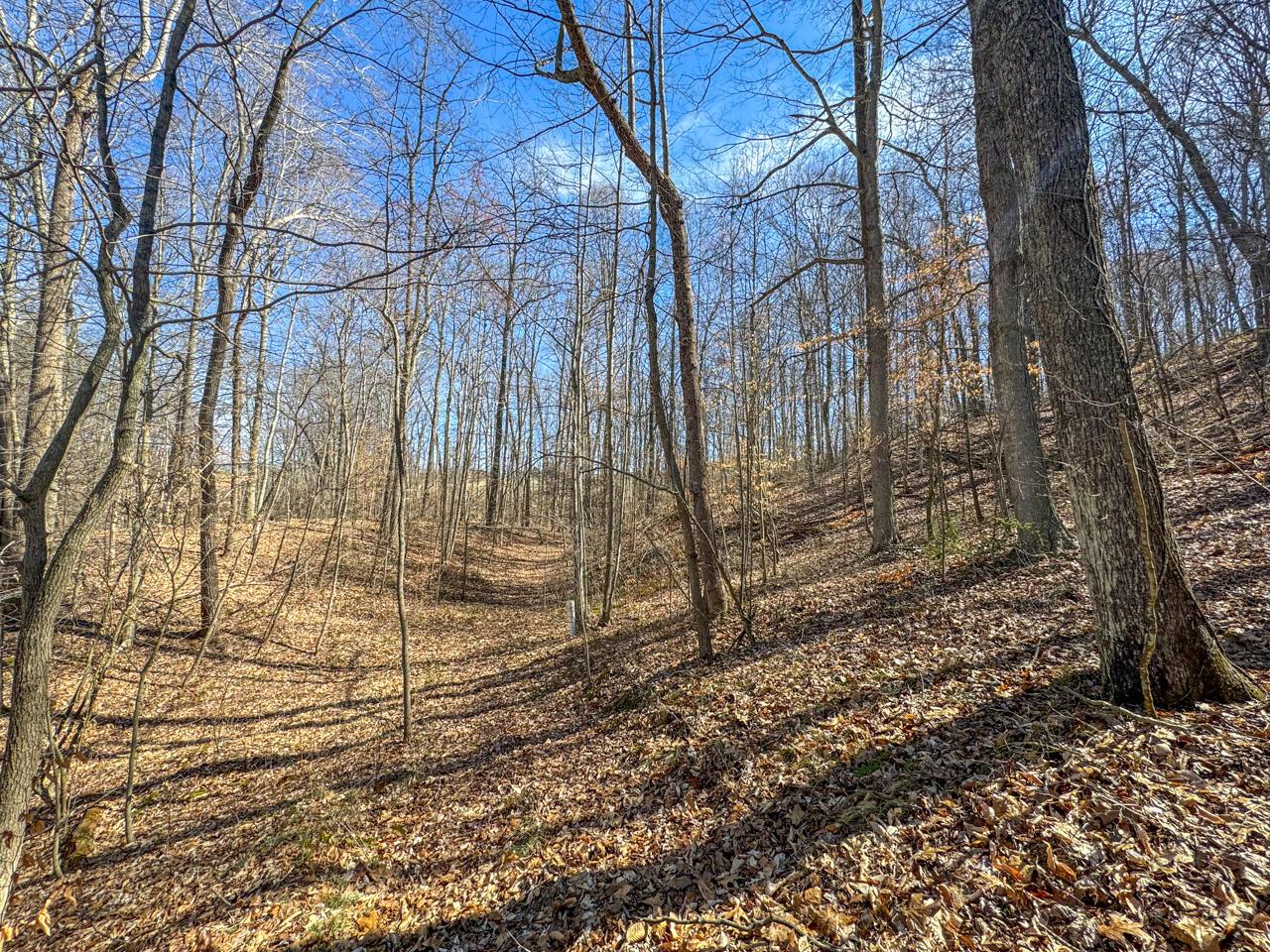 0 Smokey Hollow Road Property Photo 26