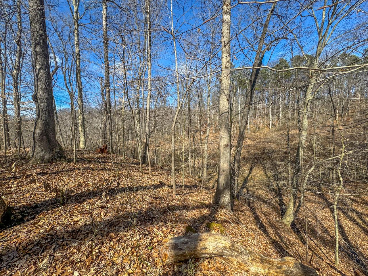 0 Smokey Hollow Road Property Photo 27