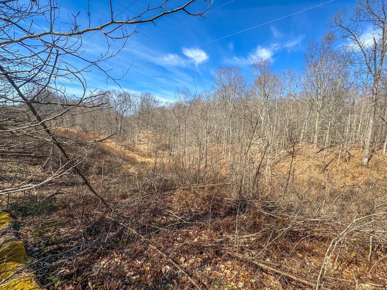 0 Smokey Hollow Road Property Photo 28