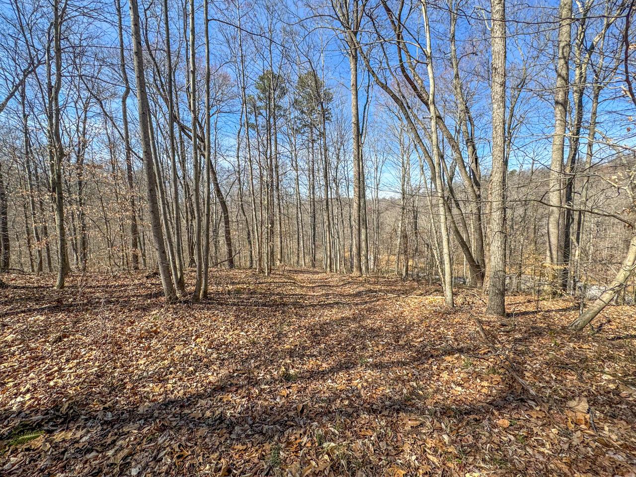 0 Smokey Hollow Road Property Photo 30