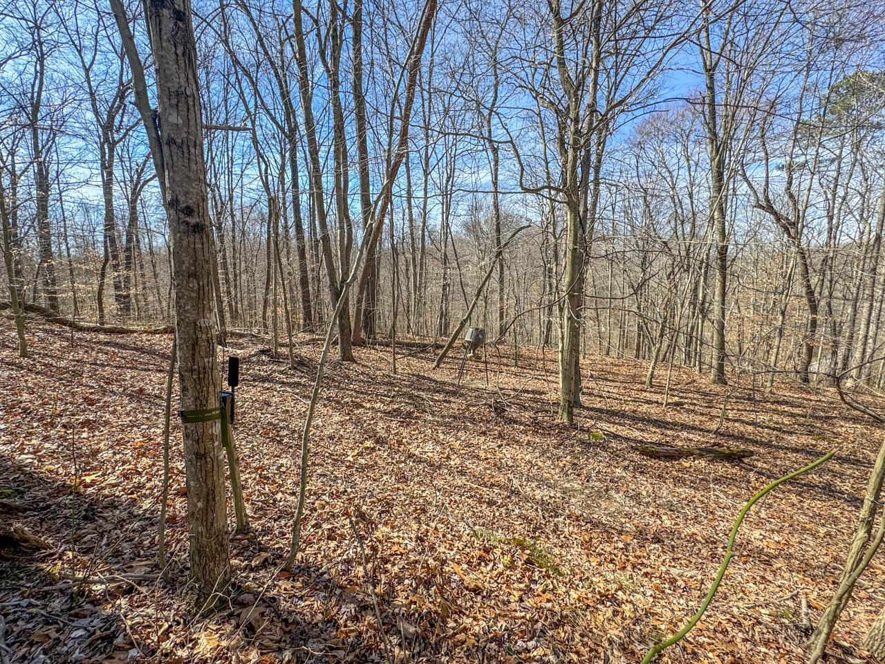 0 Smokey Hollow Road Property Photo 31