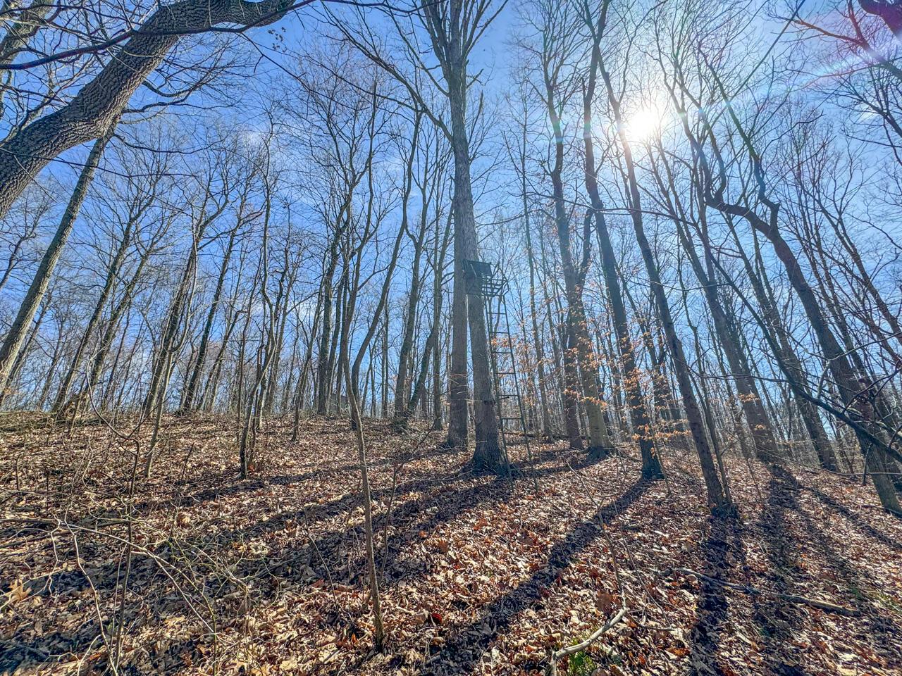 0 Smokey Hollow Road Property Photo 32