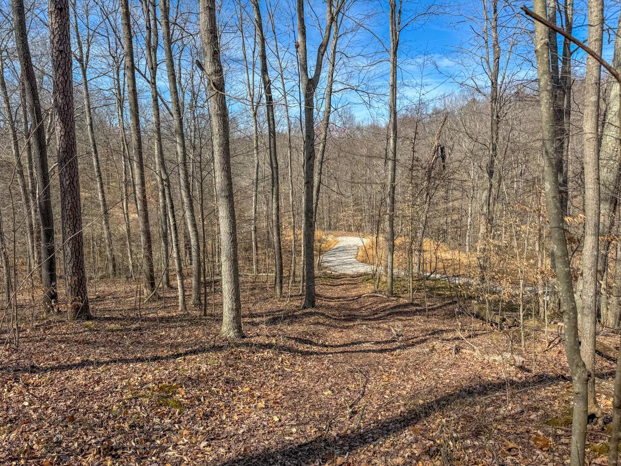 0 Smokey Hollow Road Property Photo 33