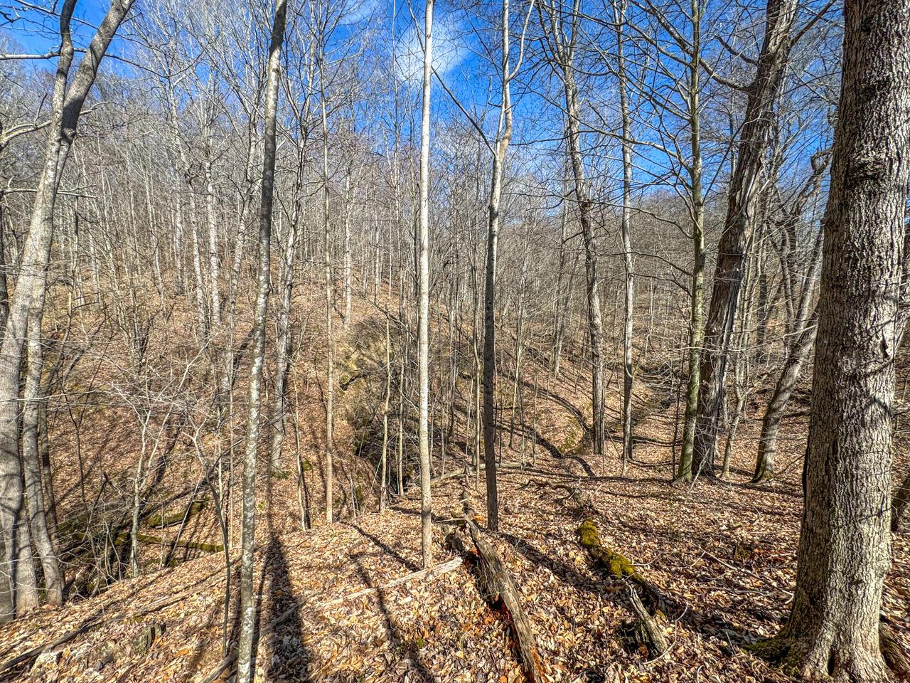 0 Smokey Hollow Road Property Photo 34