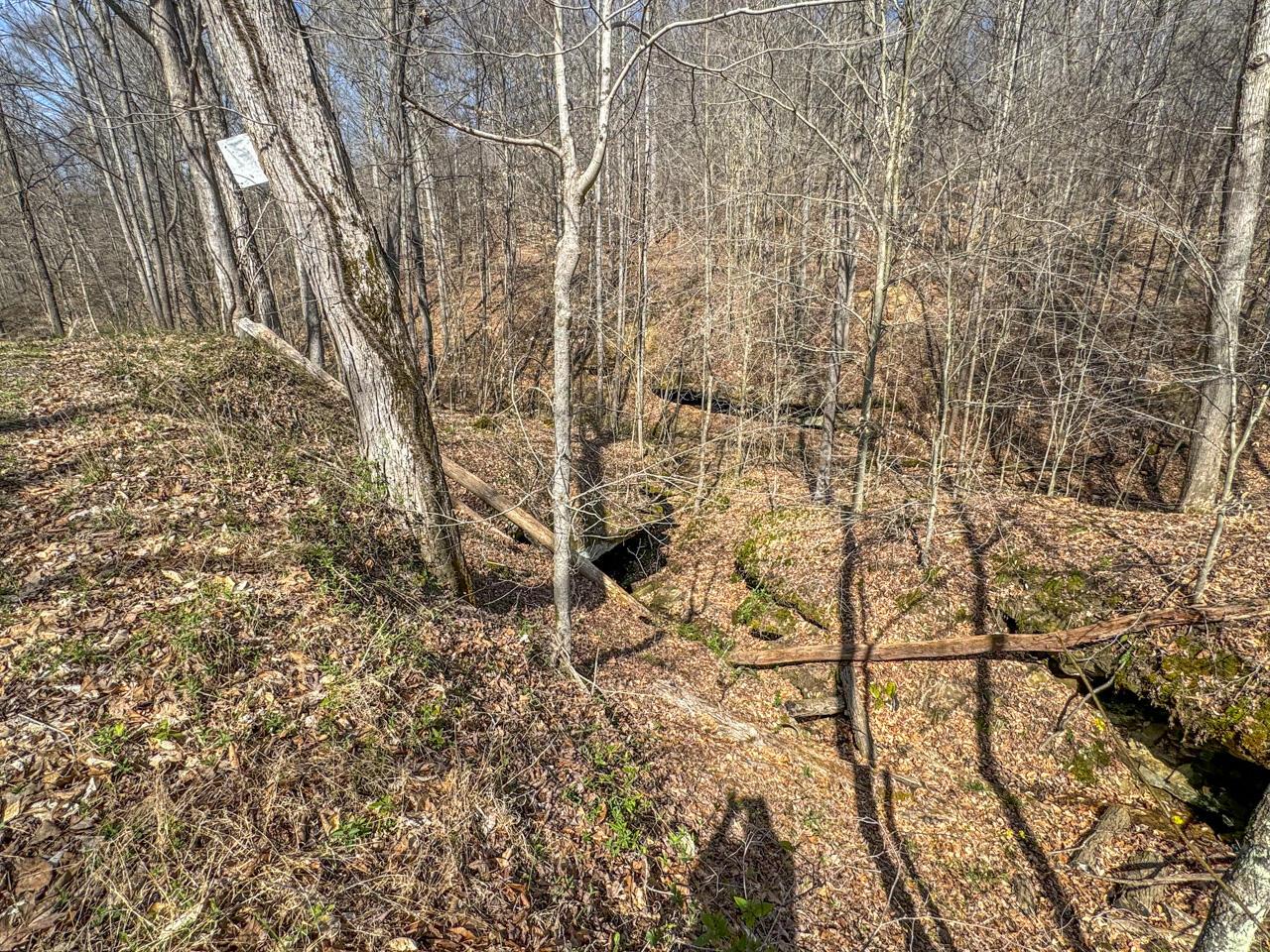 0 Smokey Hollow Road Property Photo 36