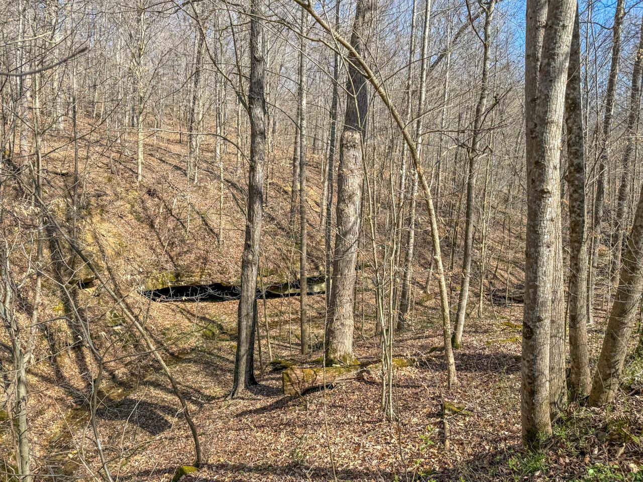 0 Smokey Hollow Road Property Photo 39