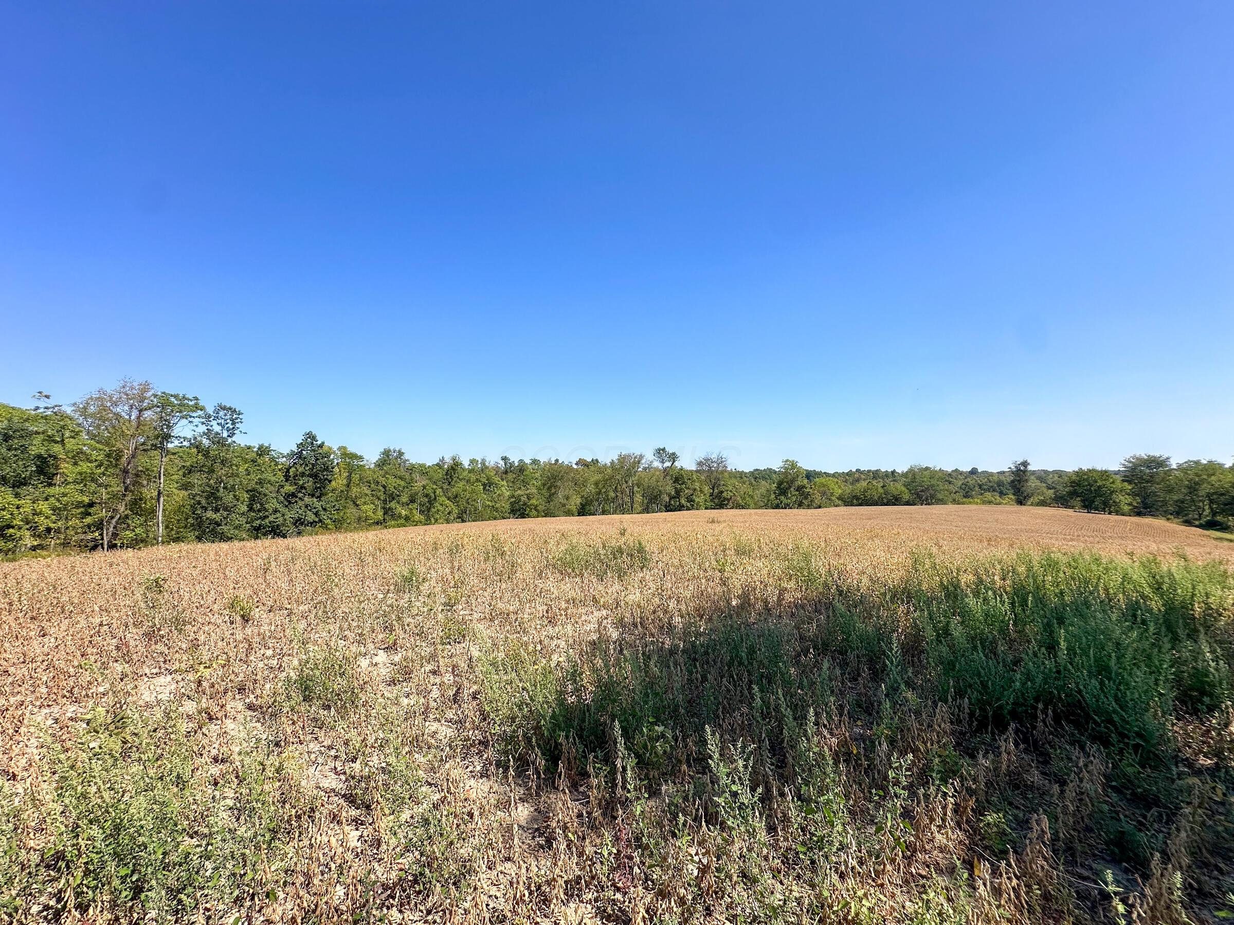 0 Black Road Property Photo 2
