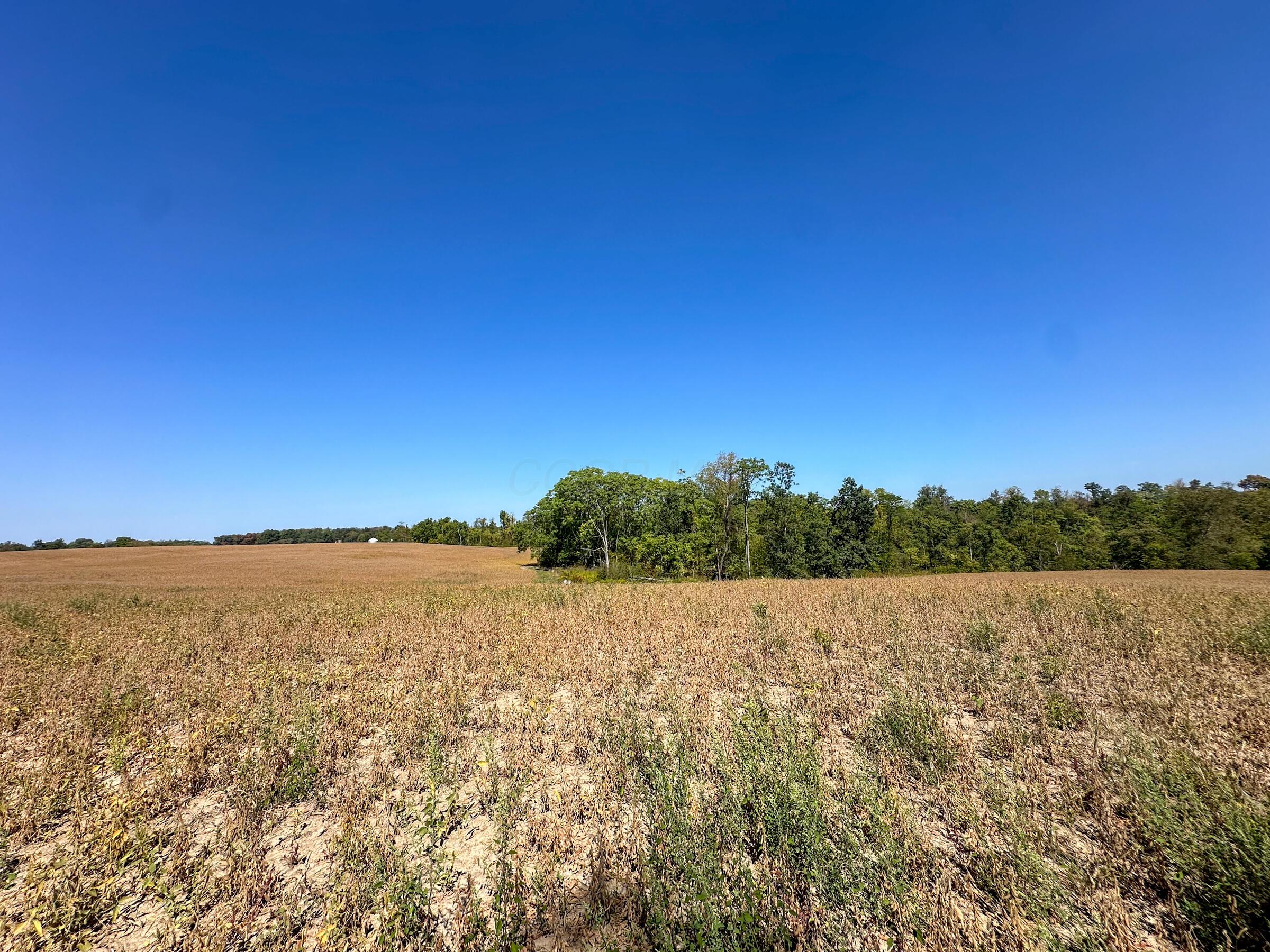 0 Black Road Property Photo 3