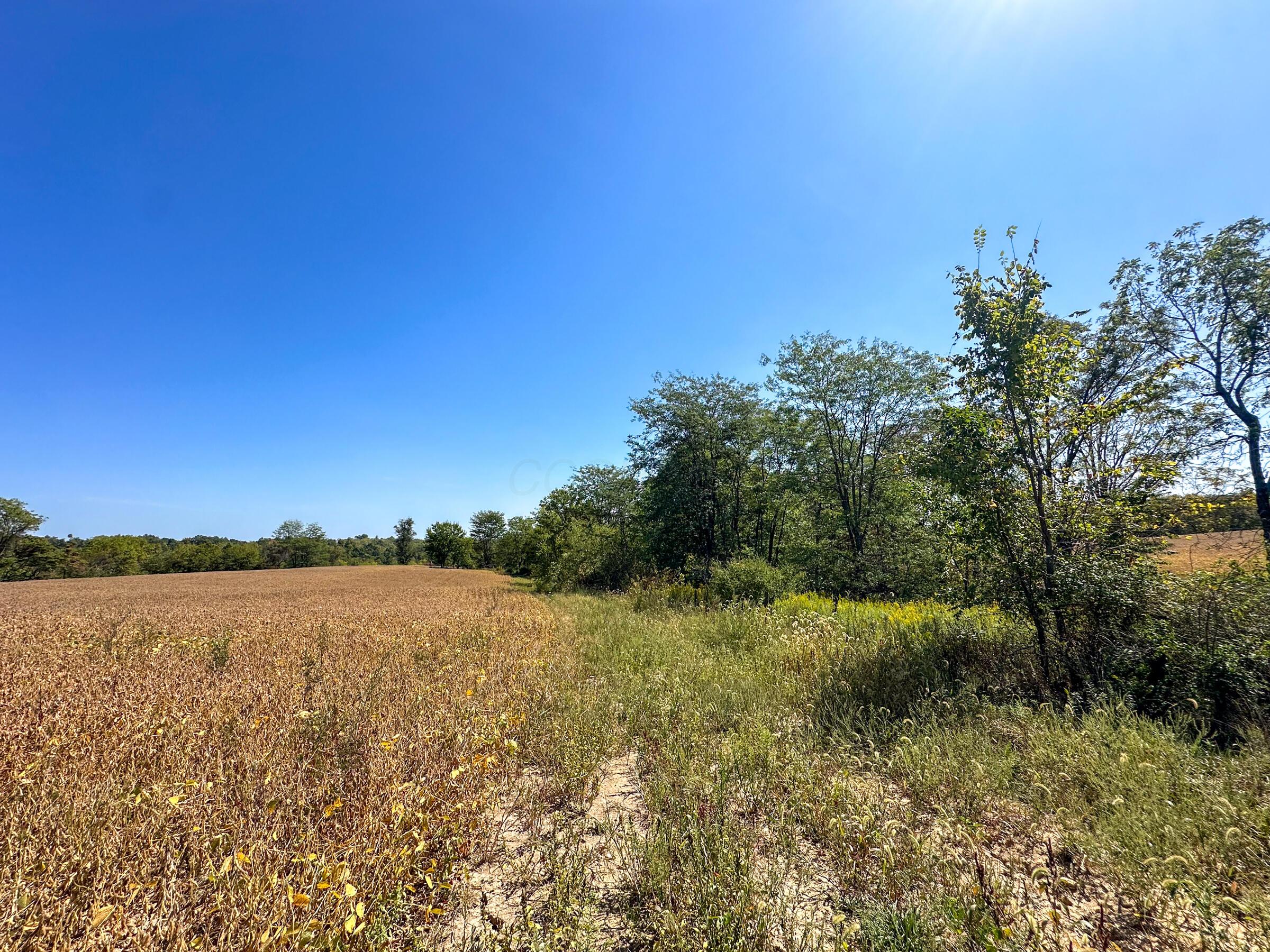 0 Black Road Property Photo 4