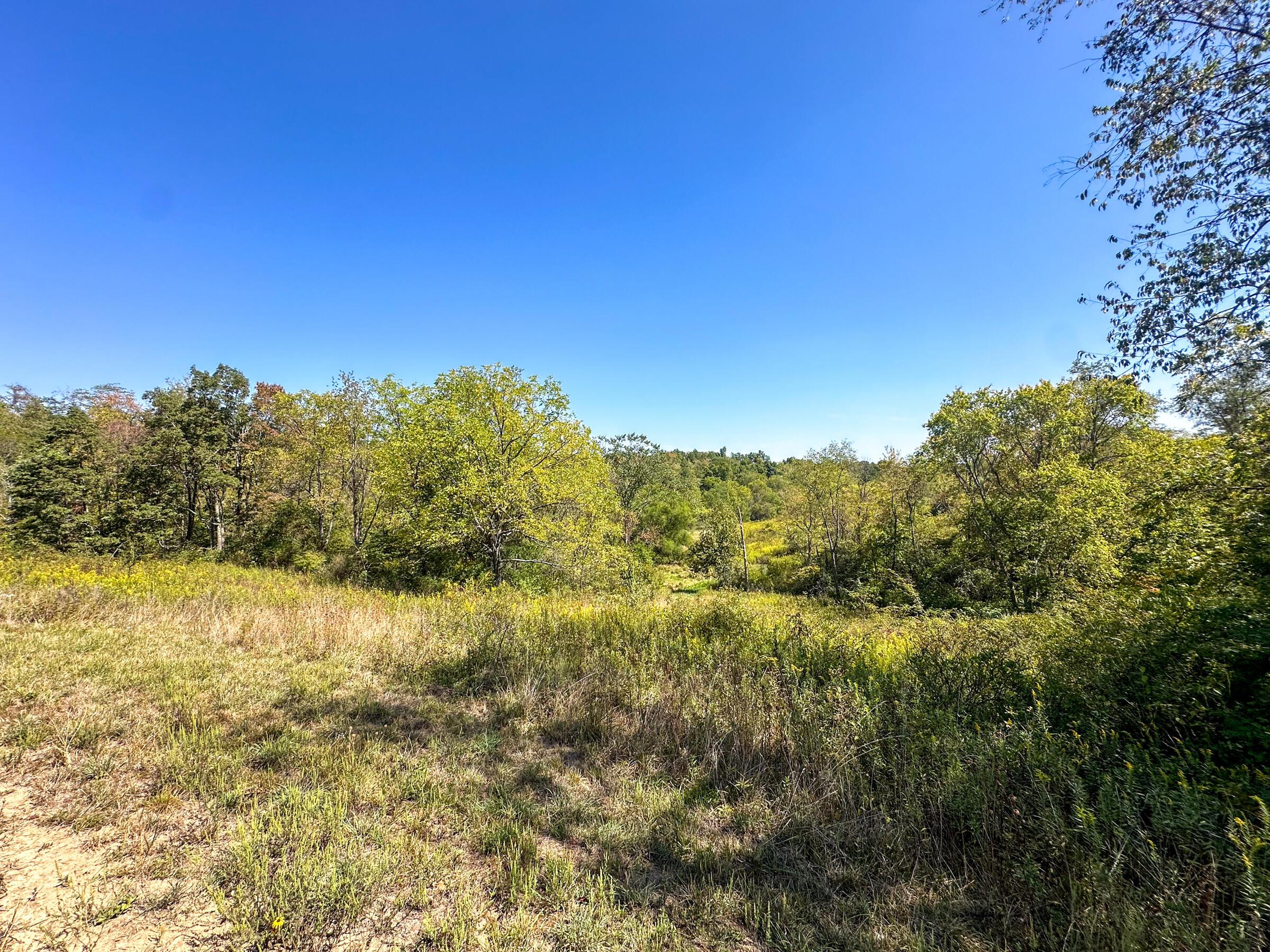 0 Black Road Property Photo 6