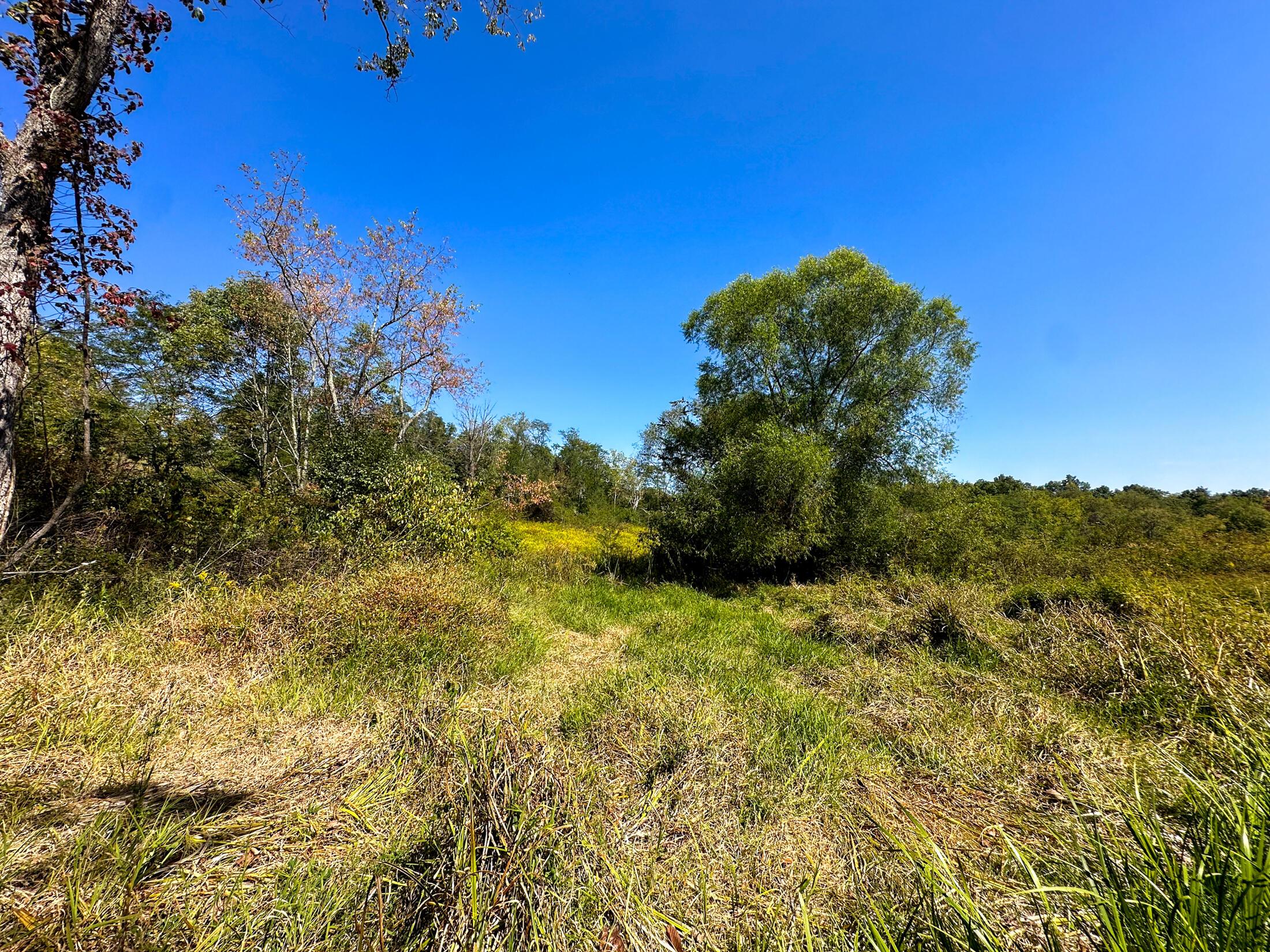 0 Black Road Property Photo 7