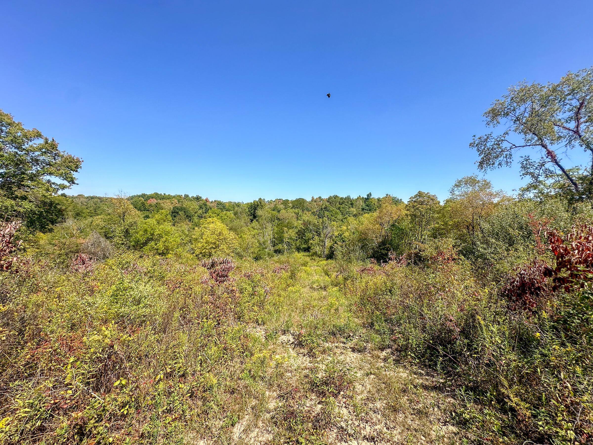 0 Black Road Property Photo 9