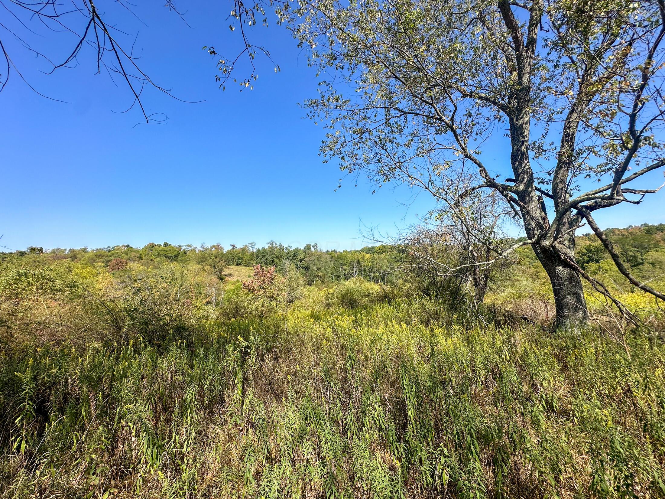0 Black Road Property Photo 10