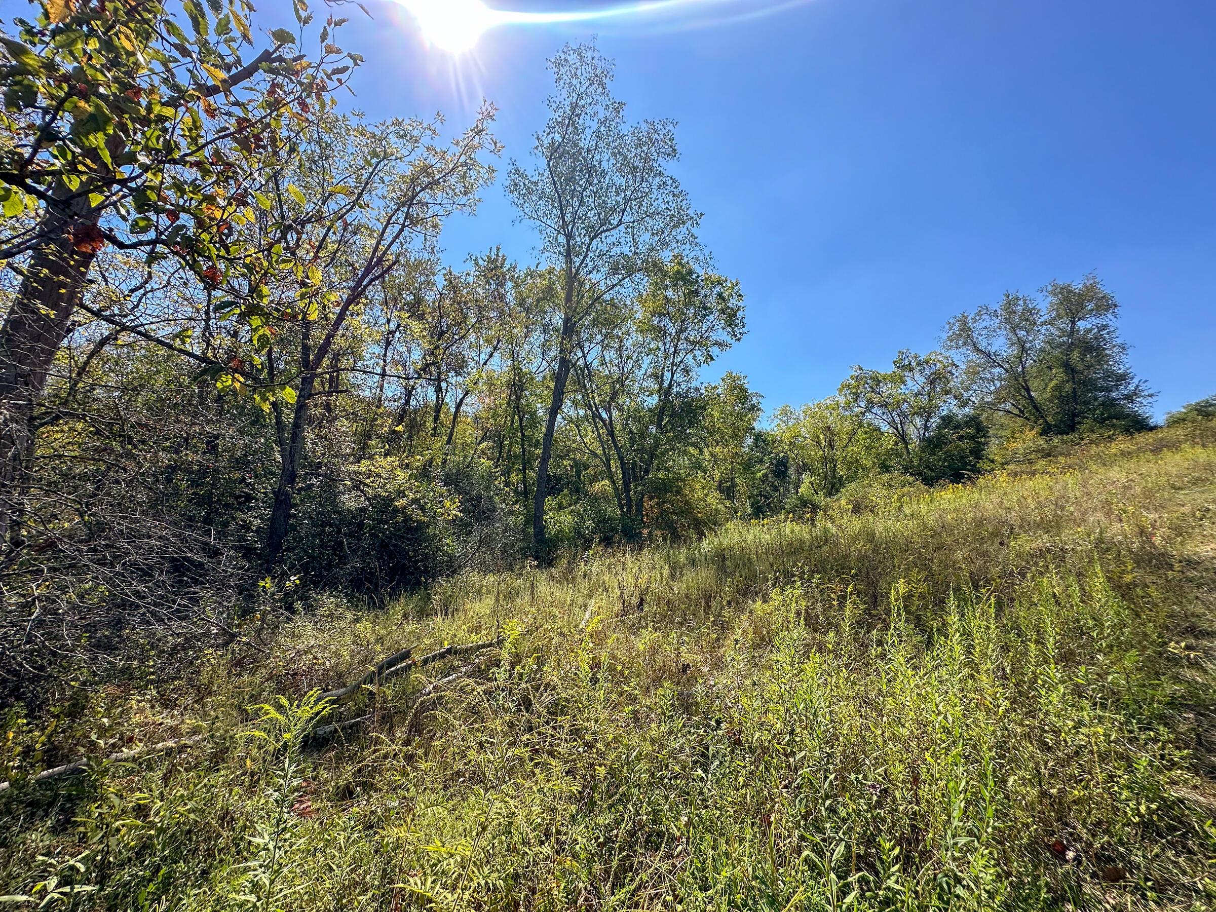0 Black Road Property Photo 11