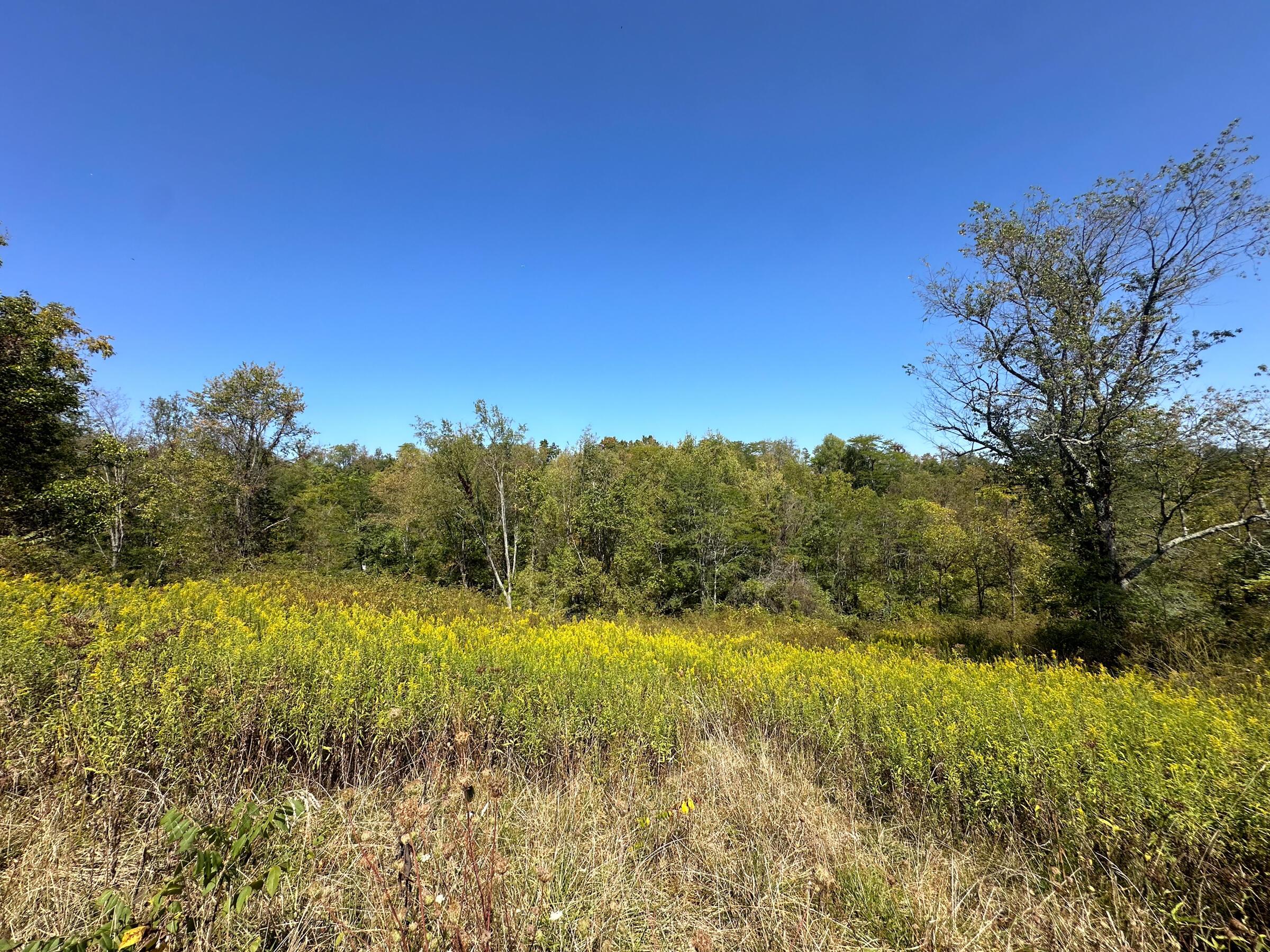 0 Black Road Property Photo 12