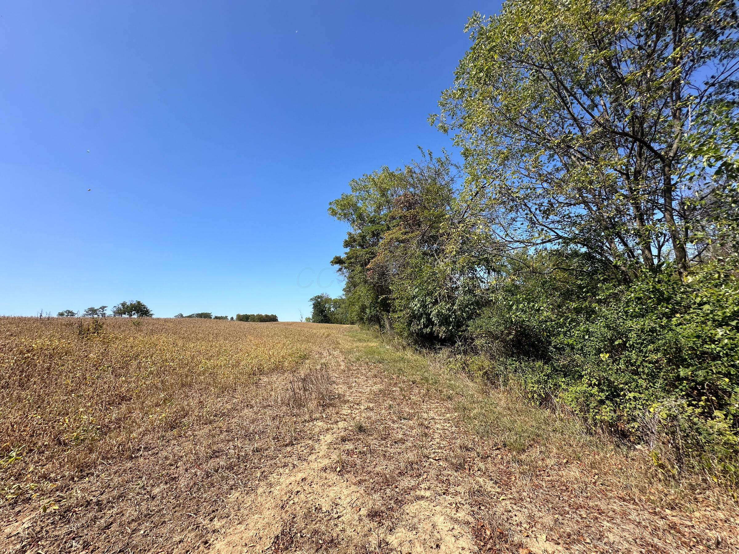 0 Black Road Property Photo 13