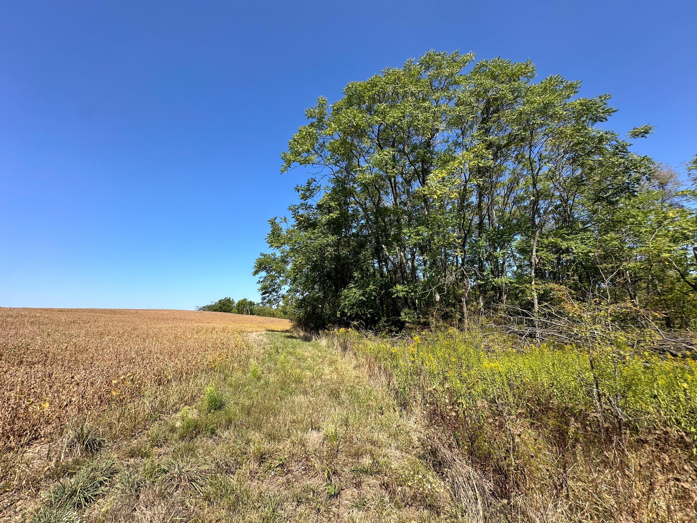 0 Black Road Property Photo 14