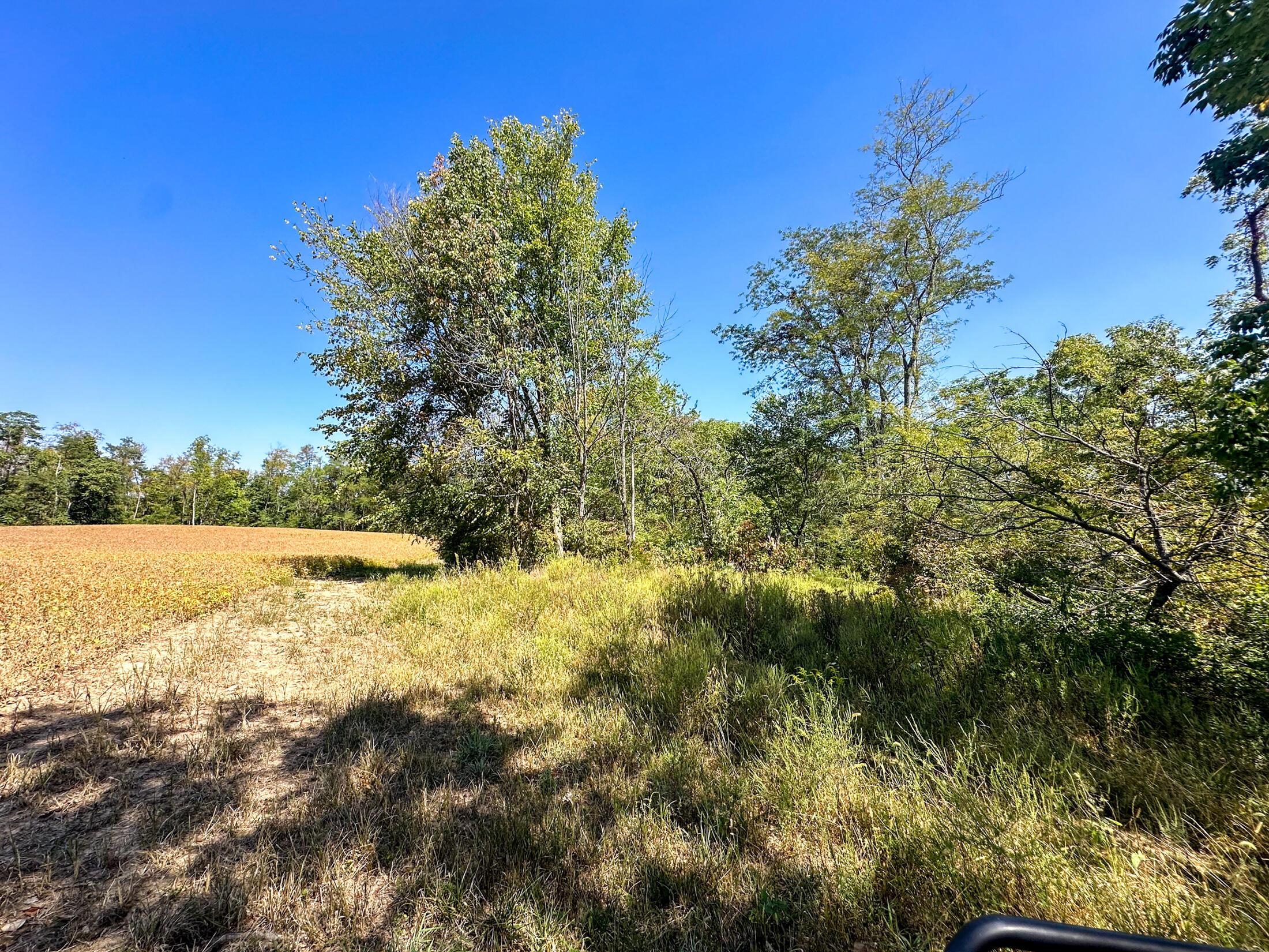 0 Black Road Property Photo 15