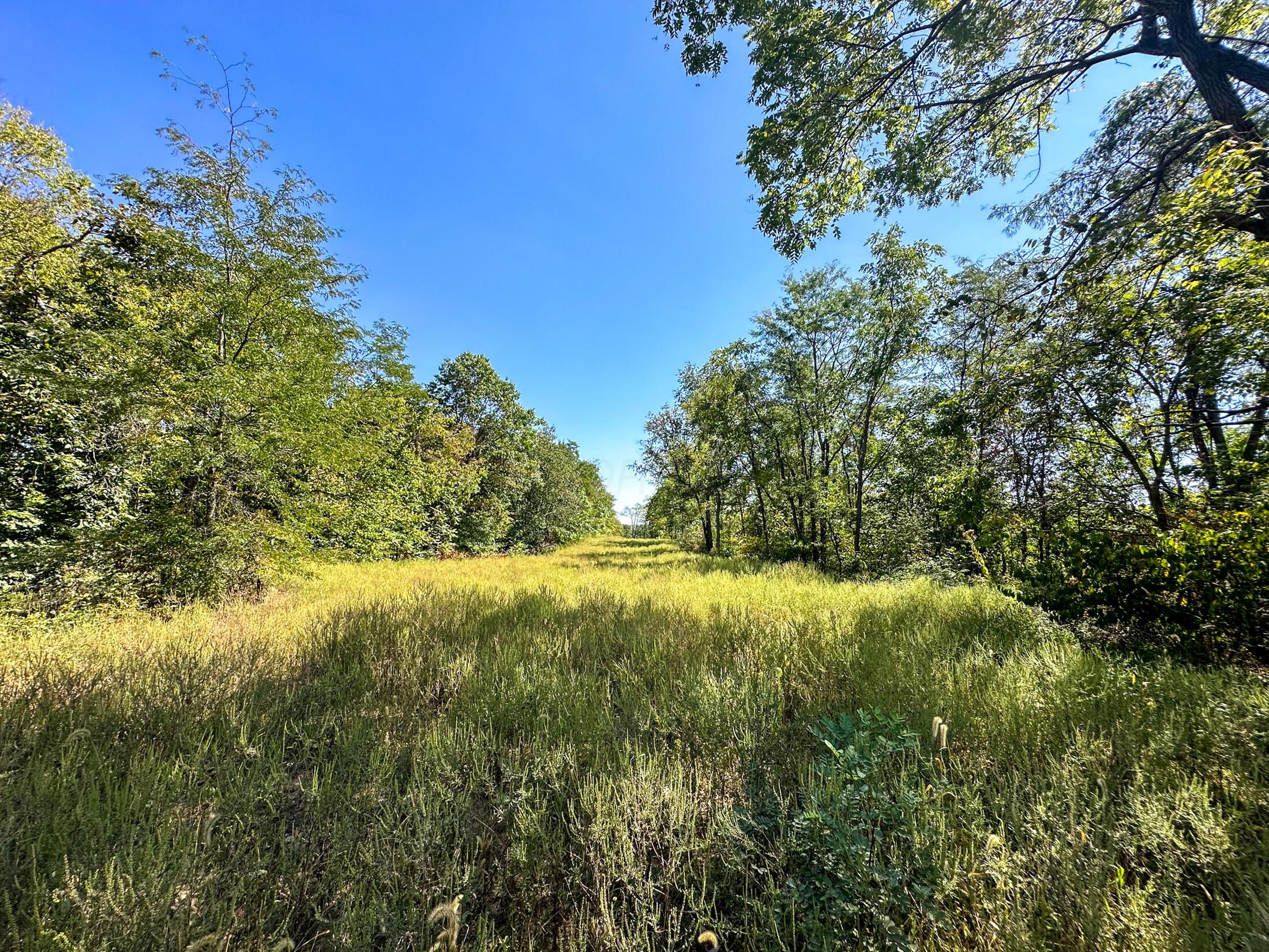 0 Black Road Property Photo 16