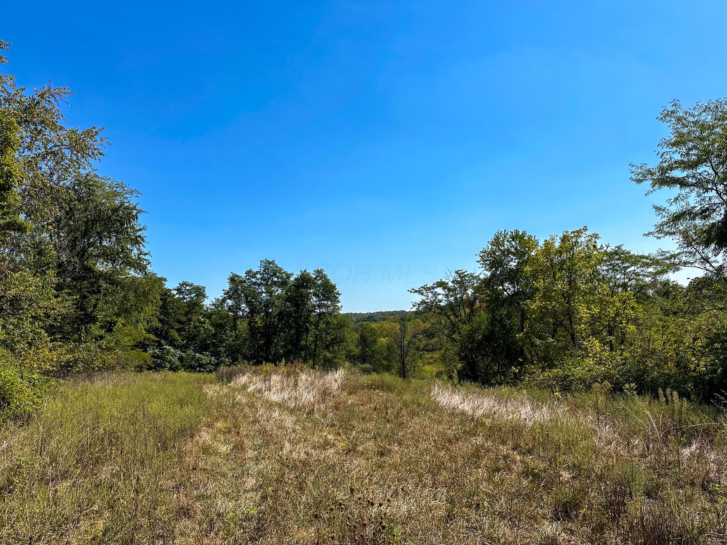 0 Black Road Property Photo 17