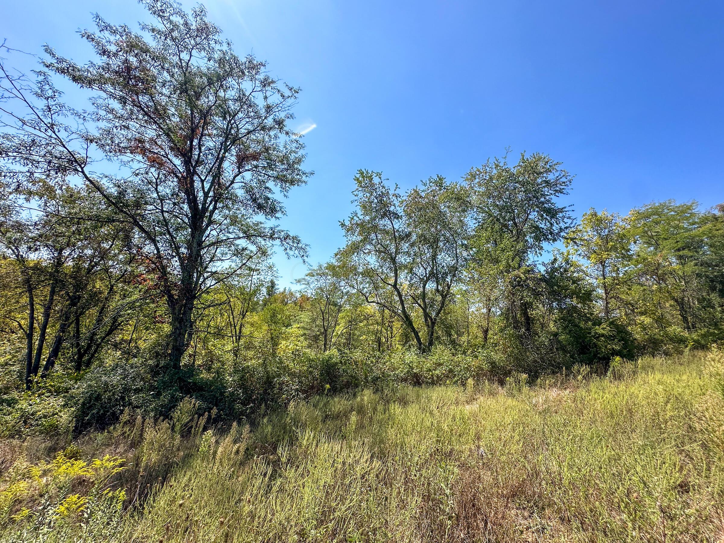0 Black Road Property Photo 21