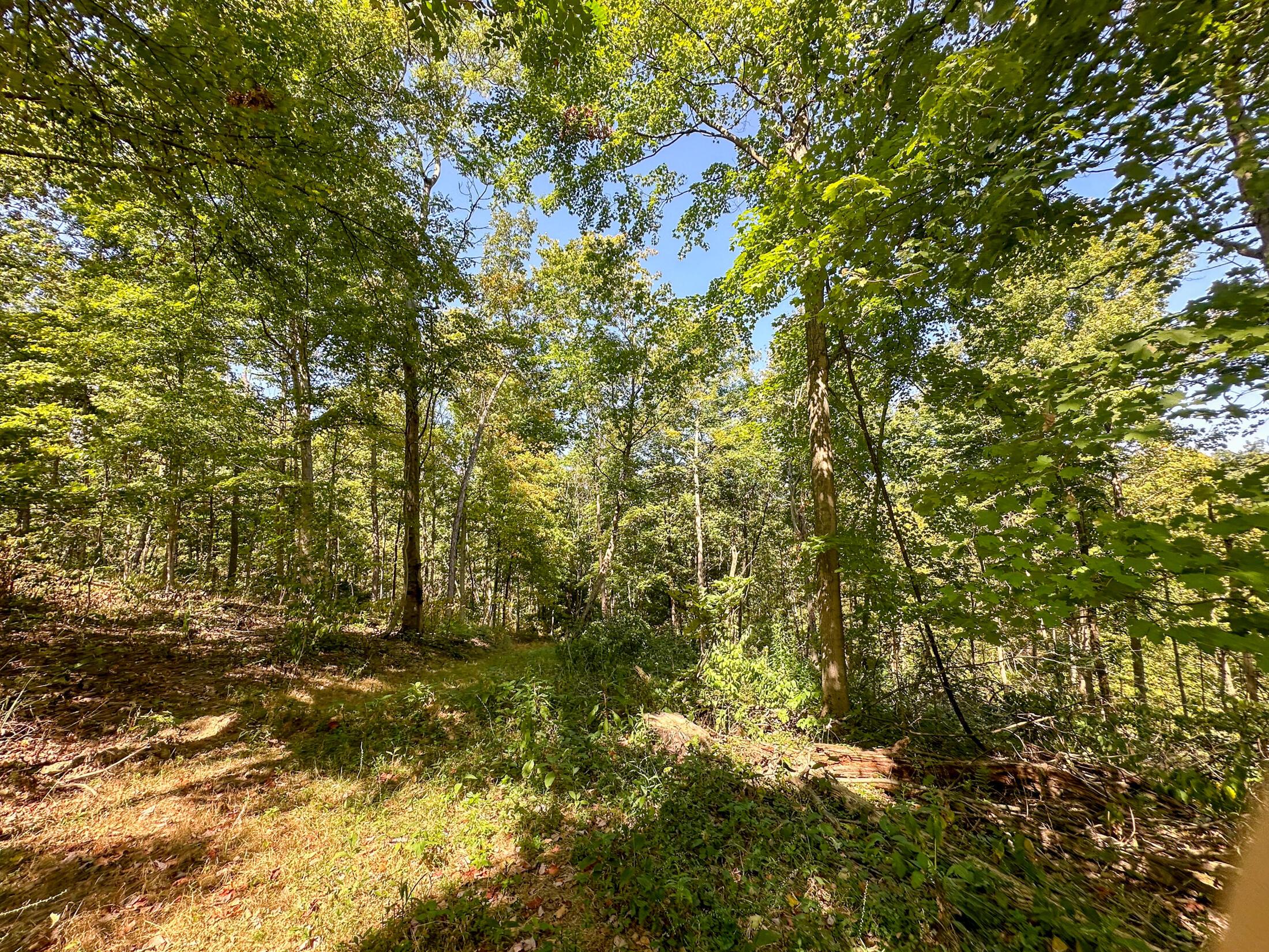 0 Black Road Property Photo 22