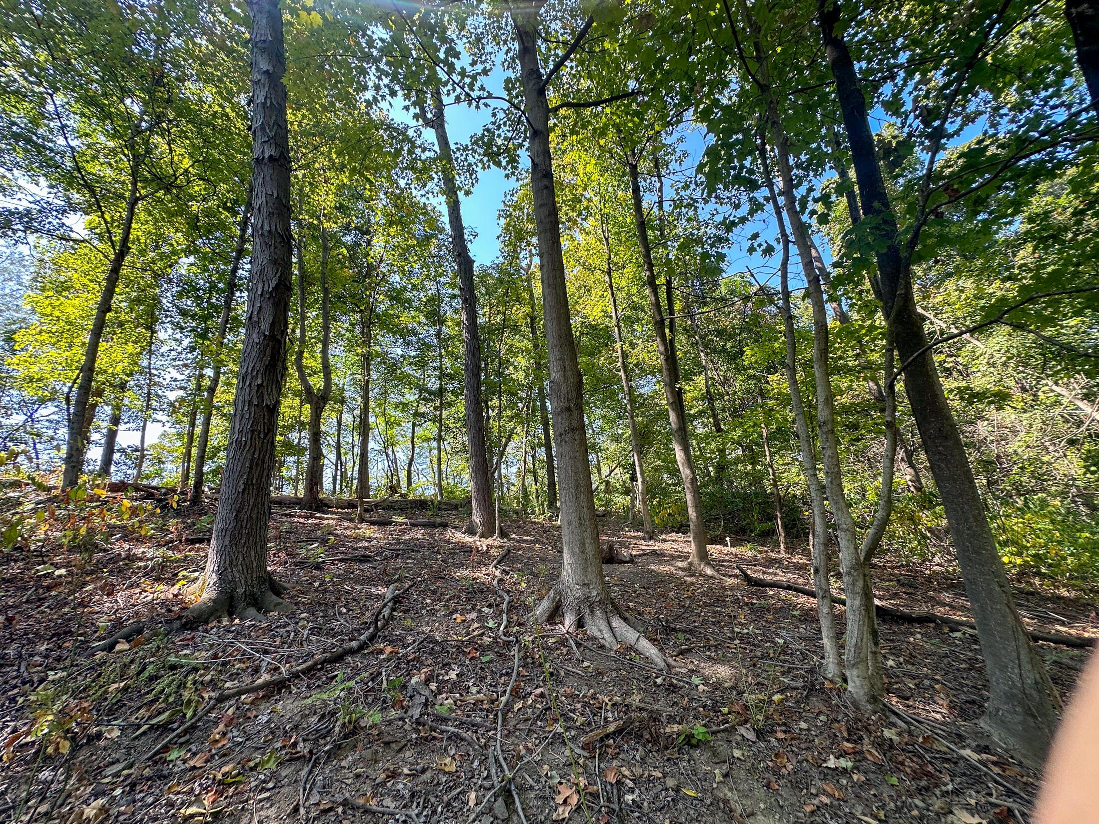 0 Black Road Property Photo 23
