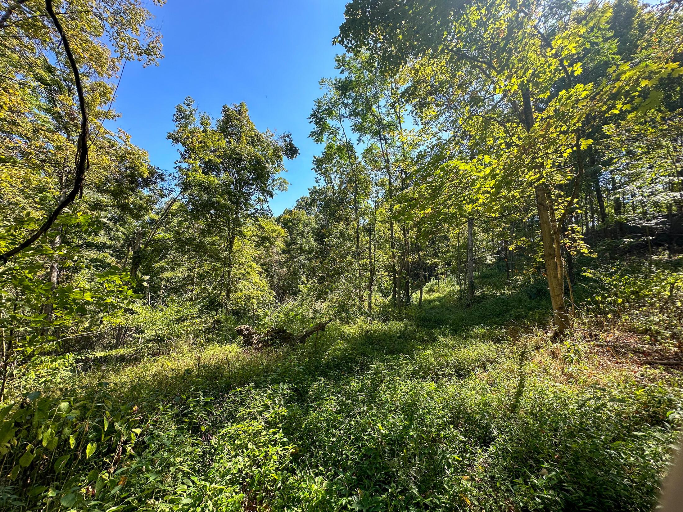 0 Black Road Property Photo 24