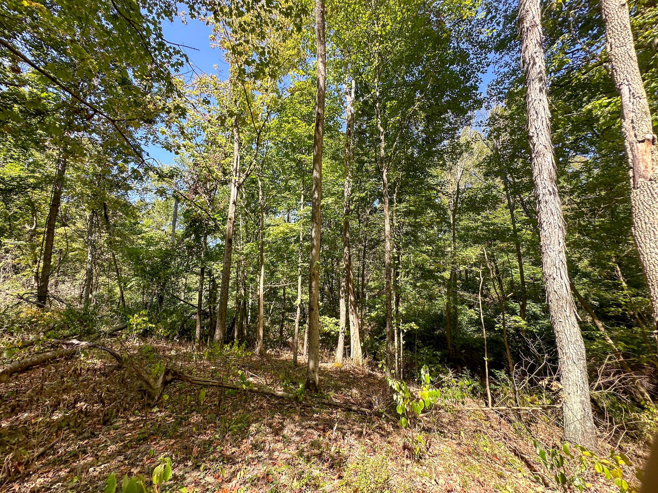 0 Black Road Property Photo 26