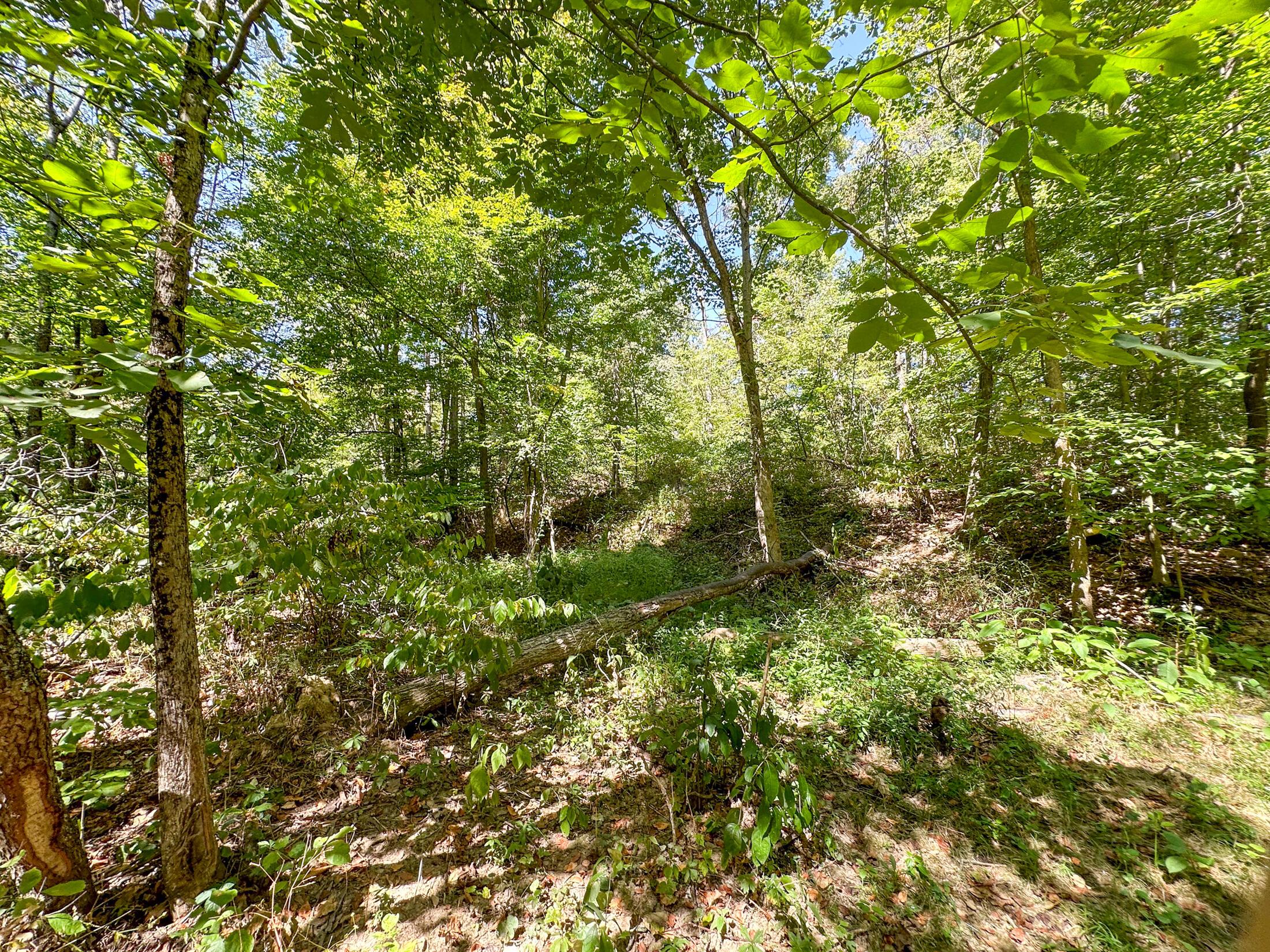 0 Black Road Property Photo 27