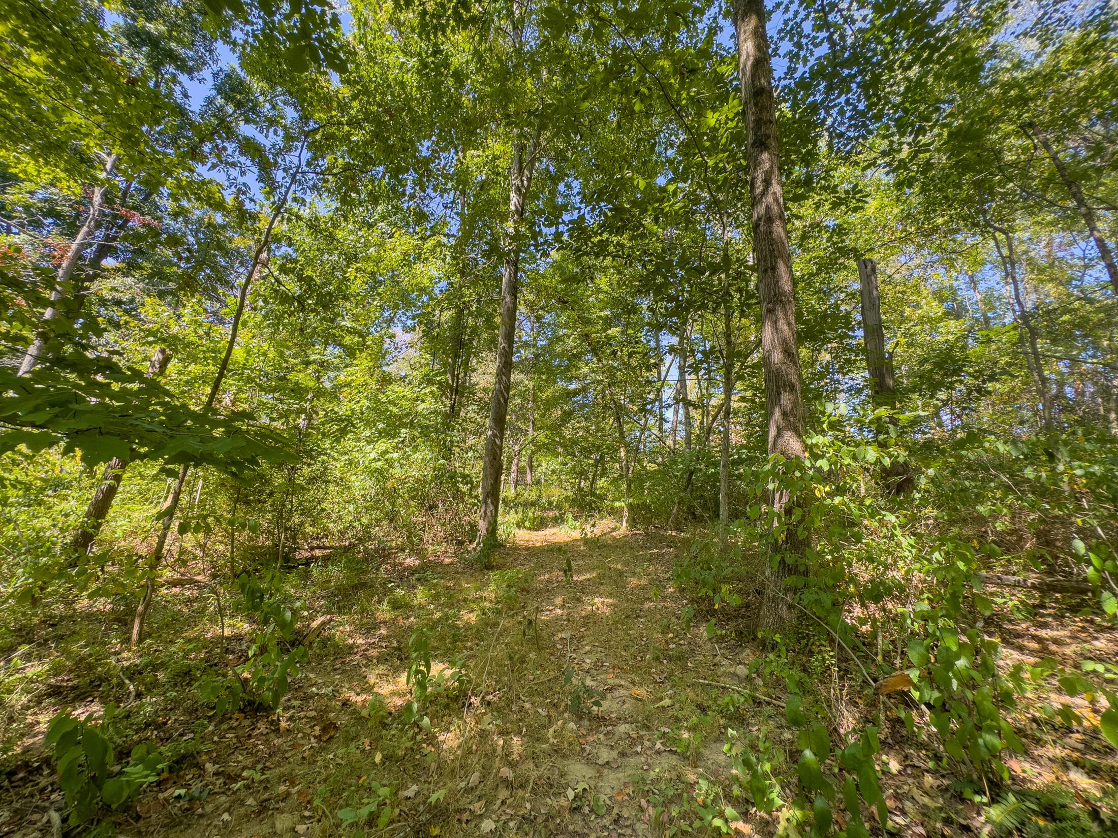 0 Black Road Property Photo 28