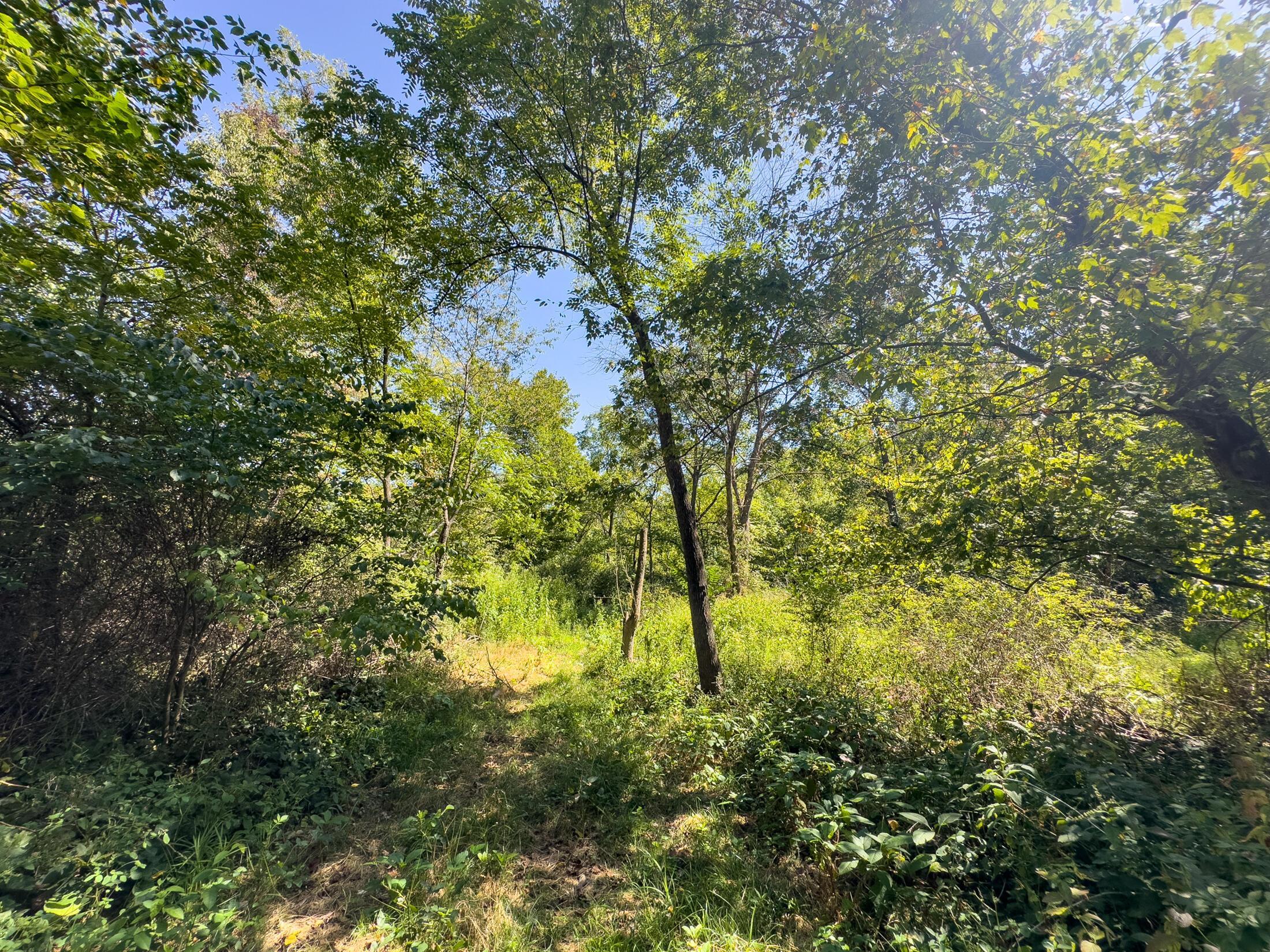 0 Black Road Property Photo 29