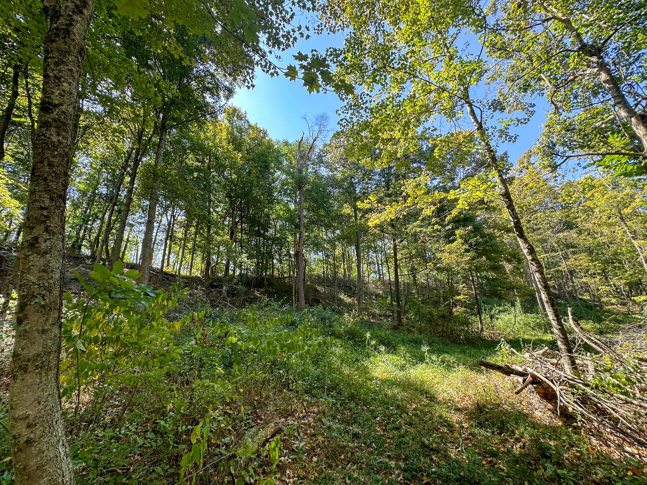 0 Black Road Property Photo 30