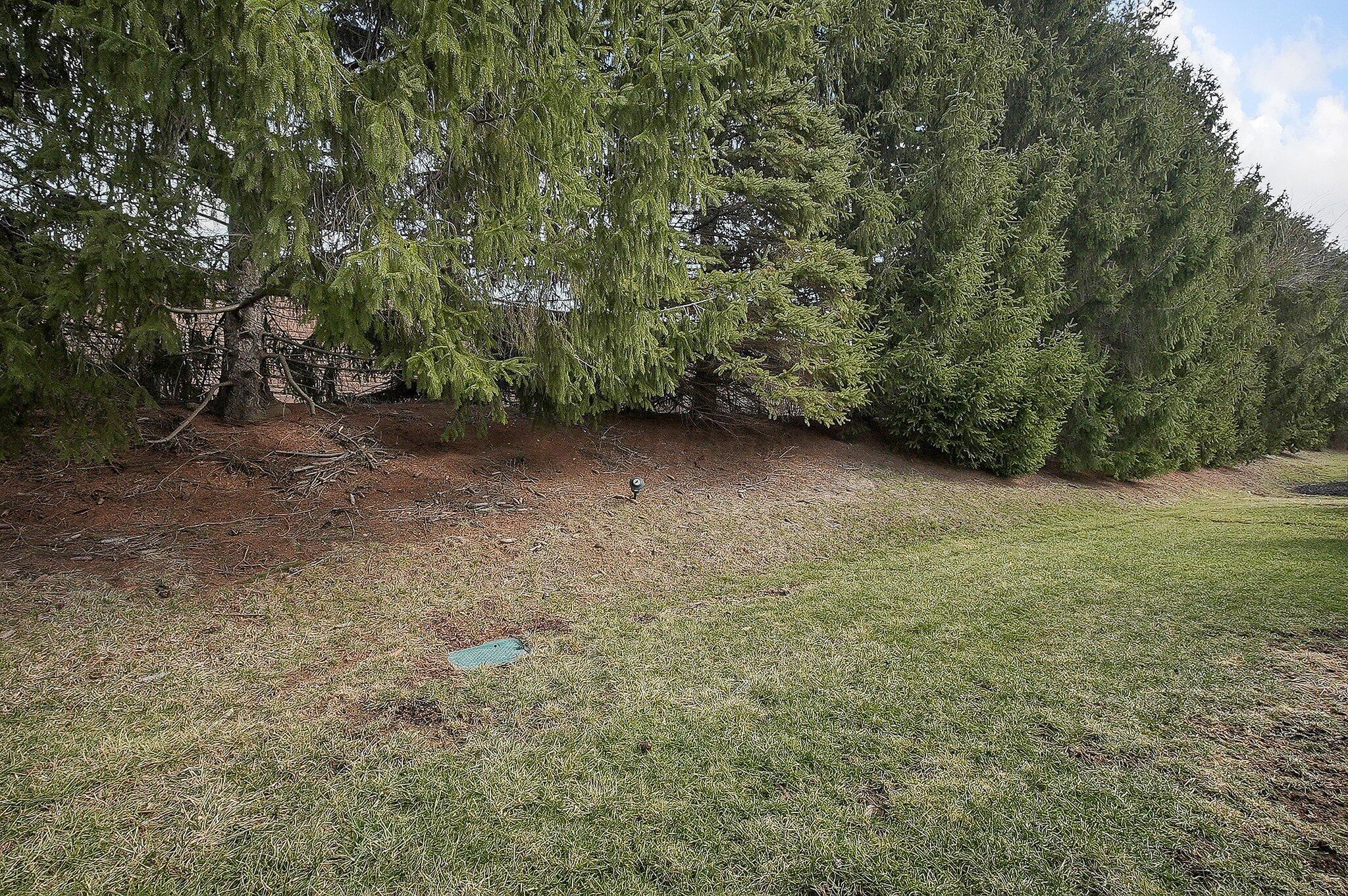 4828 Bay Grove Court Property Photo 29