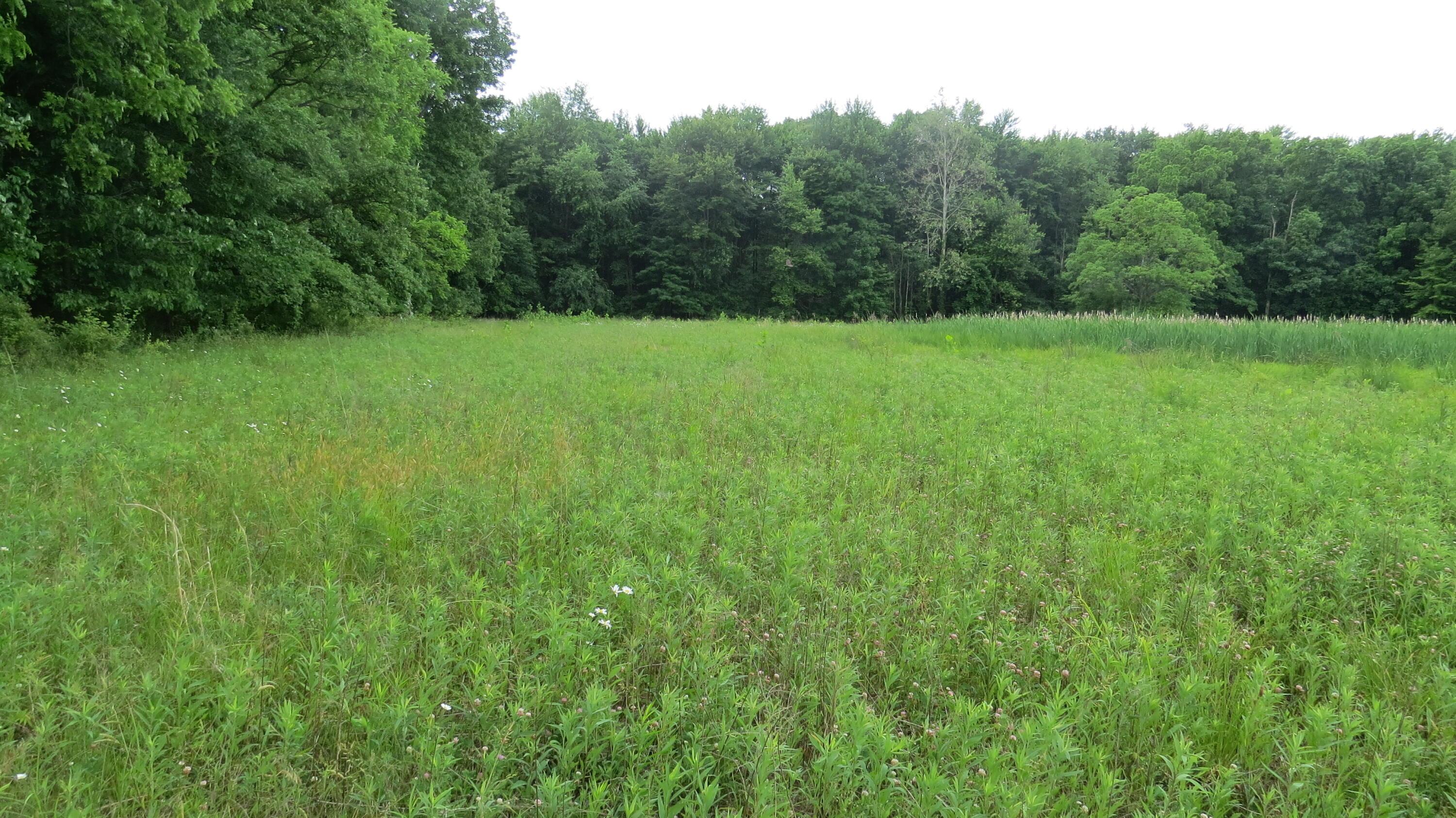 9730 Butcher Road Property Photo 2
