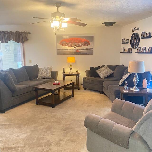 4063 Maple Grove Road Property Photo 17