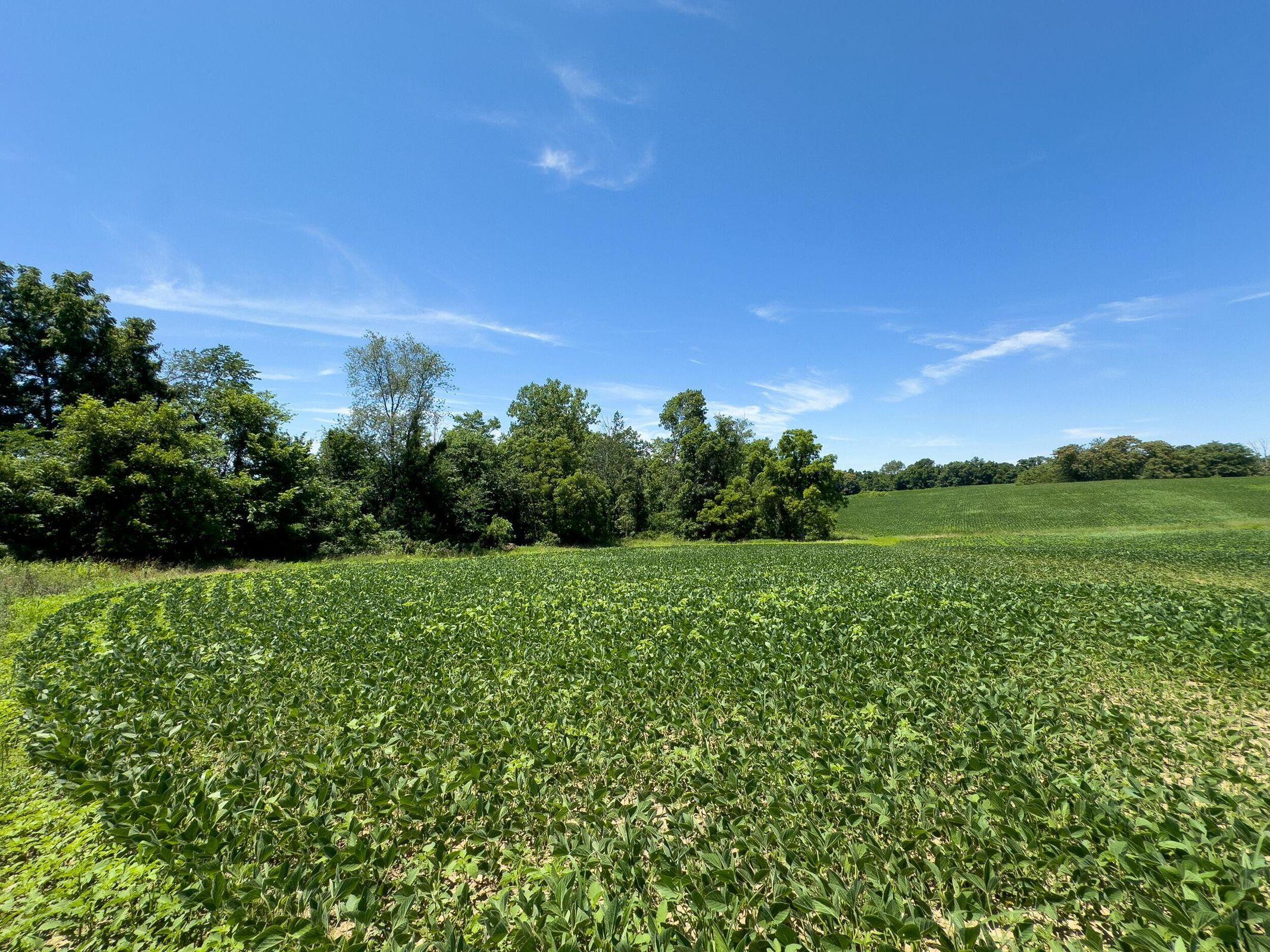 0 Trapp Lane Property Photo